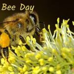 Ts. Mai Thanh Truyết- Ngày Con Ong Thế giới – World Bee Day – 20 Tháng 5