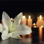 Lê Nam Phan – Nhớ Mẹ