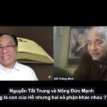 Đỗ Thông Minh: Nguyễn Tất Trung và Nông Đức Mạnh – Thân Phận Giống Nhau, Số Phận Khác Nhau