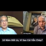 Đỗ Thông Minh: 10 Năm Đốt Lò – Vì Sao Củi Tươi Vẫn Cháy?