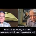 Từ 731 Bộ Hài Cốt đến Cây Đinh 5 Tấc